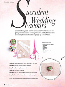 Succulent Wedding Favours