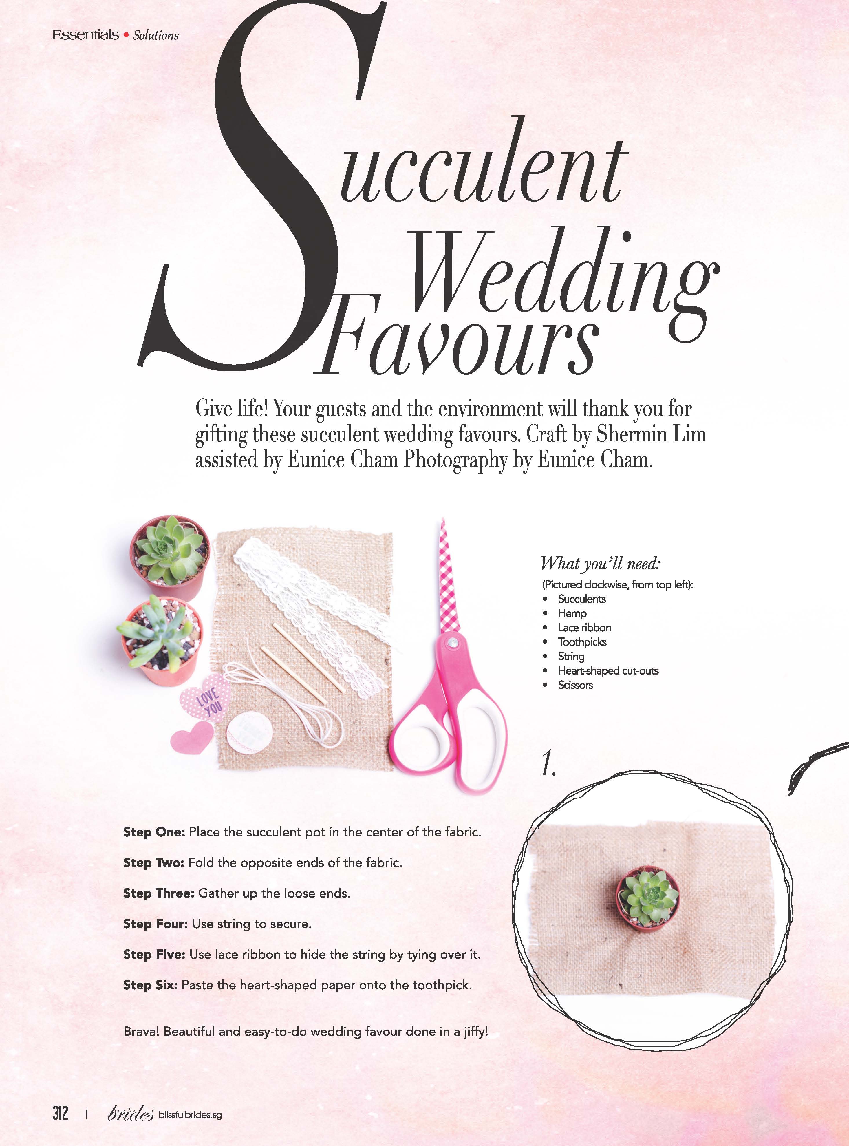Succulent Wedding Favours