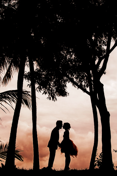 Dave Wong Photography