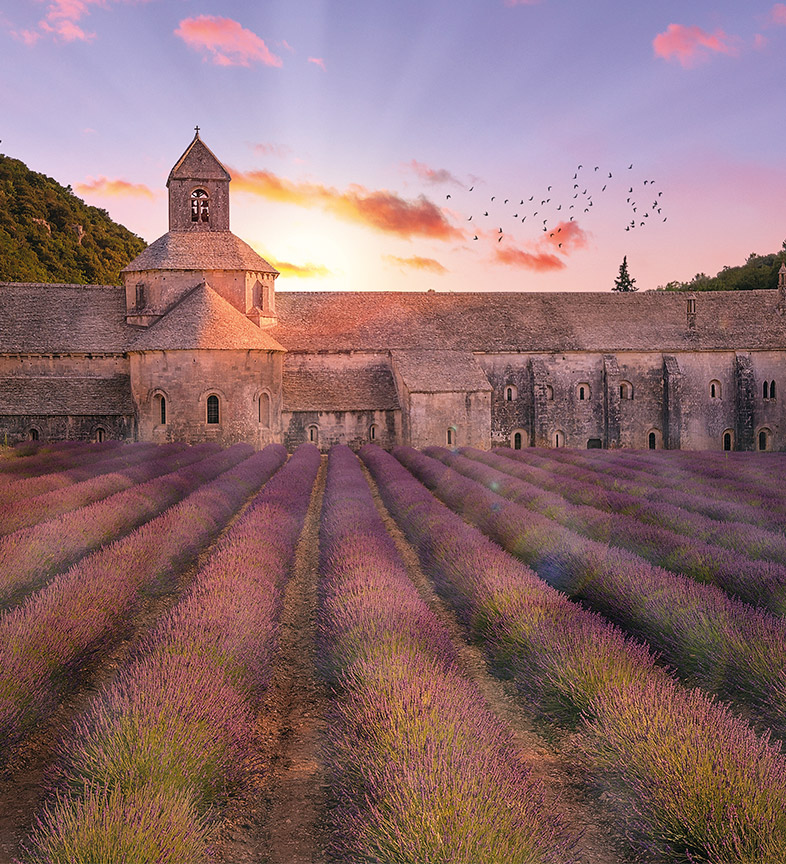 Southern France - A journey like no other