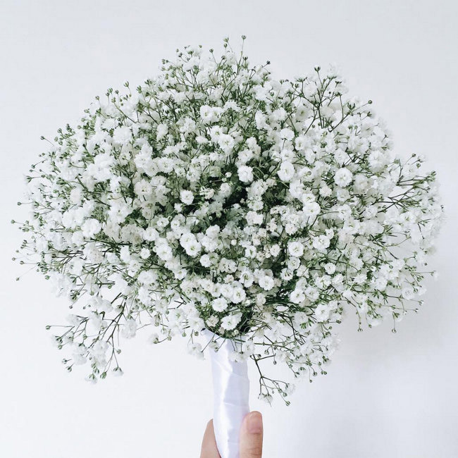 5 Baby's Breath Wedding Ideas