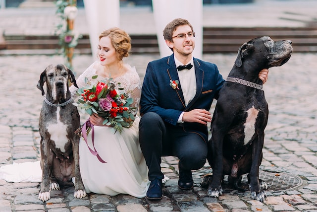 5 Aspects to Consider Before Having Your Pet At the Wedding