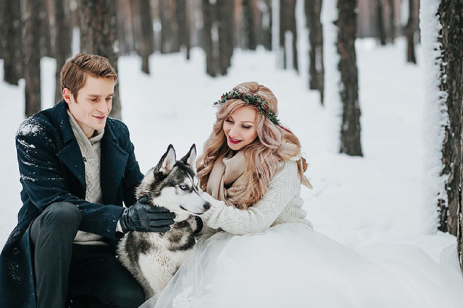 5 Aspects to Consider Before Having Your Pet At the Wedding