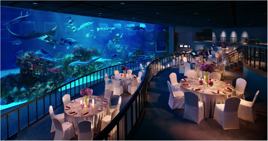 10 Wow-Worthy Wedding Venues at Resorts World Sentosa 