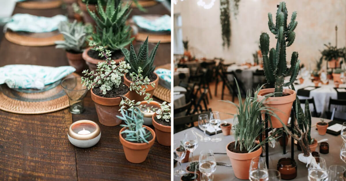 6 Interesting Ways to Add Potted Plants to Your Wedding