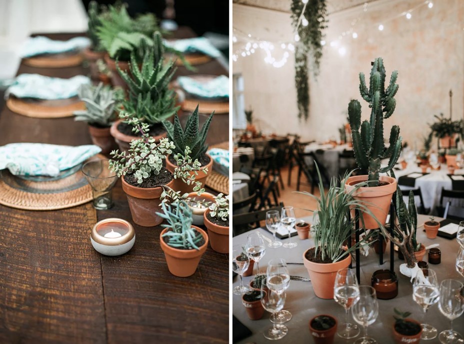 6 Interesting Ways to Add Potted Plants to Your Wedding