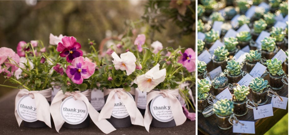 6 Interesting Ways to Add Potted Plants to Your Wedding