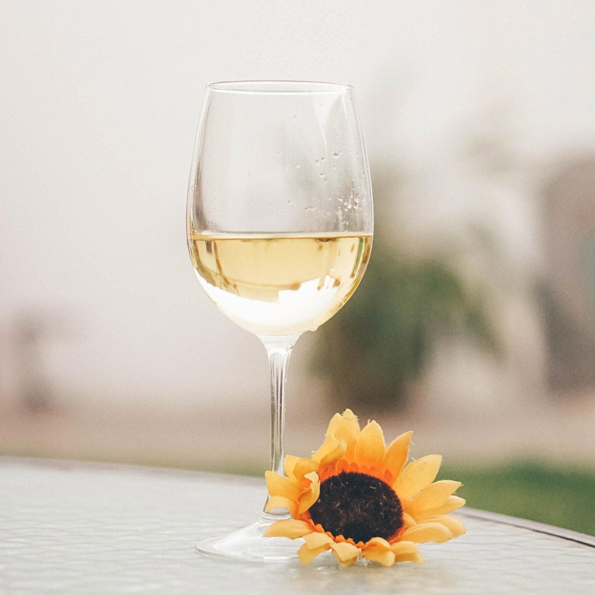 Red or White? How To Choose The Perfect Wine For Your Wedding