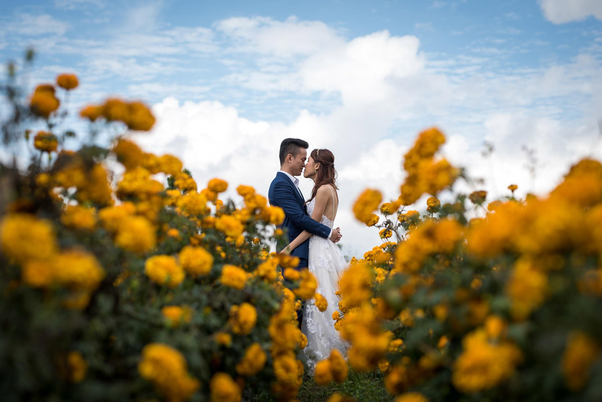 6 Reasons Why You Should Hire A Professional Photographer for Your Wedding