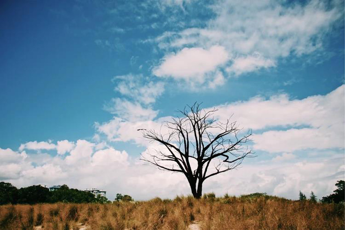 3 Ways To Successfully Frame Your Pre-Wedding Photoshoot