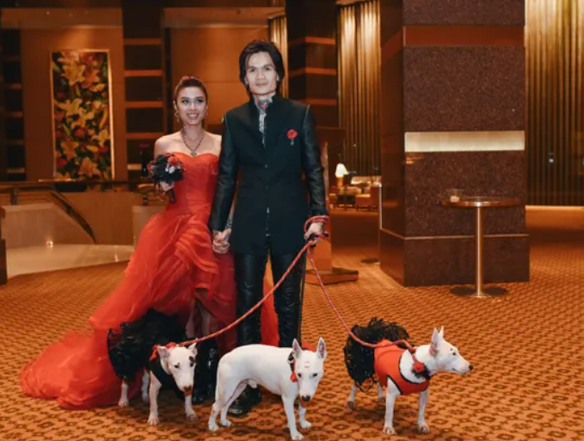 10 Wedding Venues That Welcome Pets with Open Arms