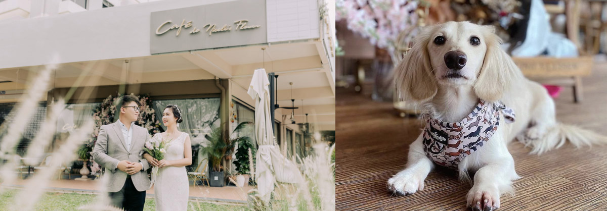 10 Wedding Venues That Welcome Pets with Open Arms