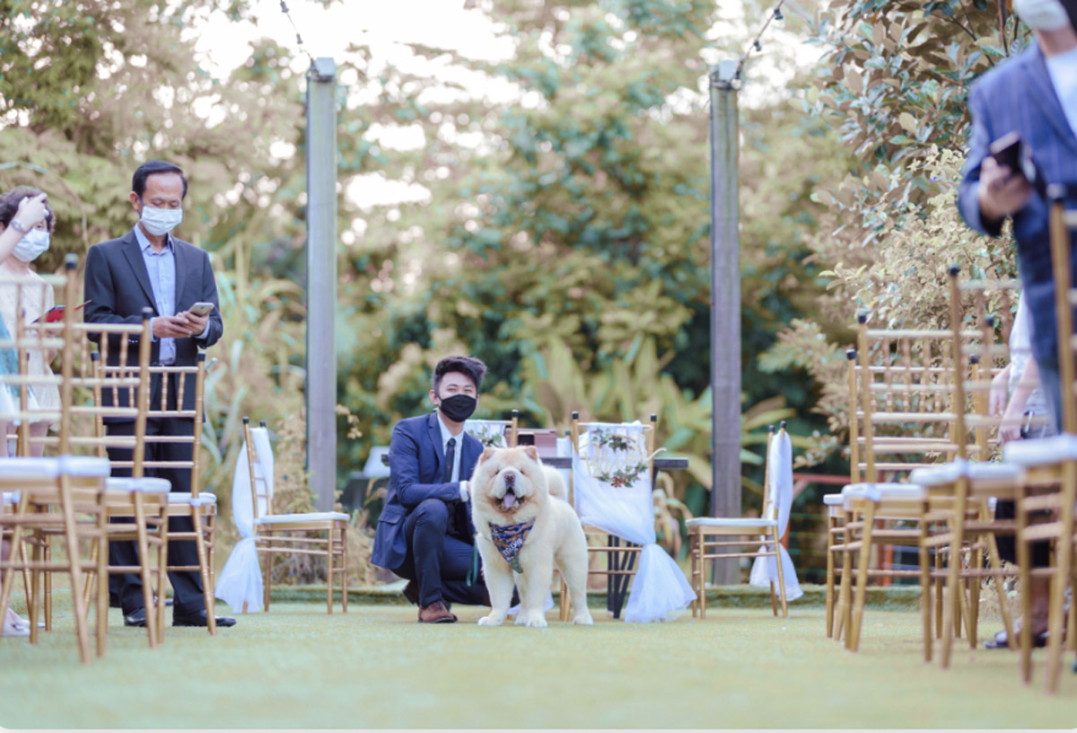 10 Wedding Venues That Welcome Pets with Open Arms