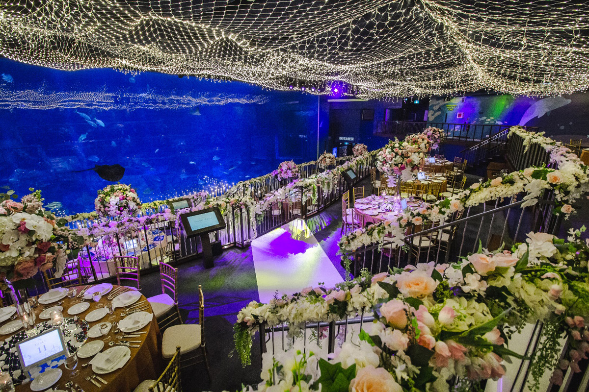 EXPOflor®: Transforming Wedding Venues with Elegance and Innovation