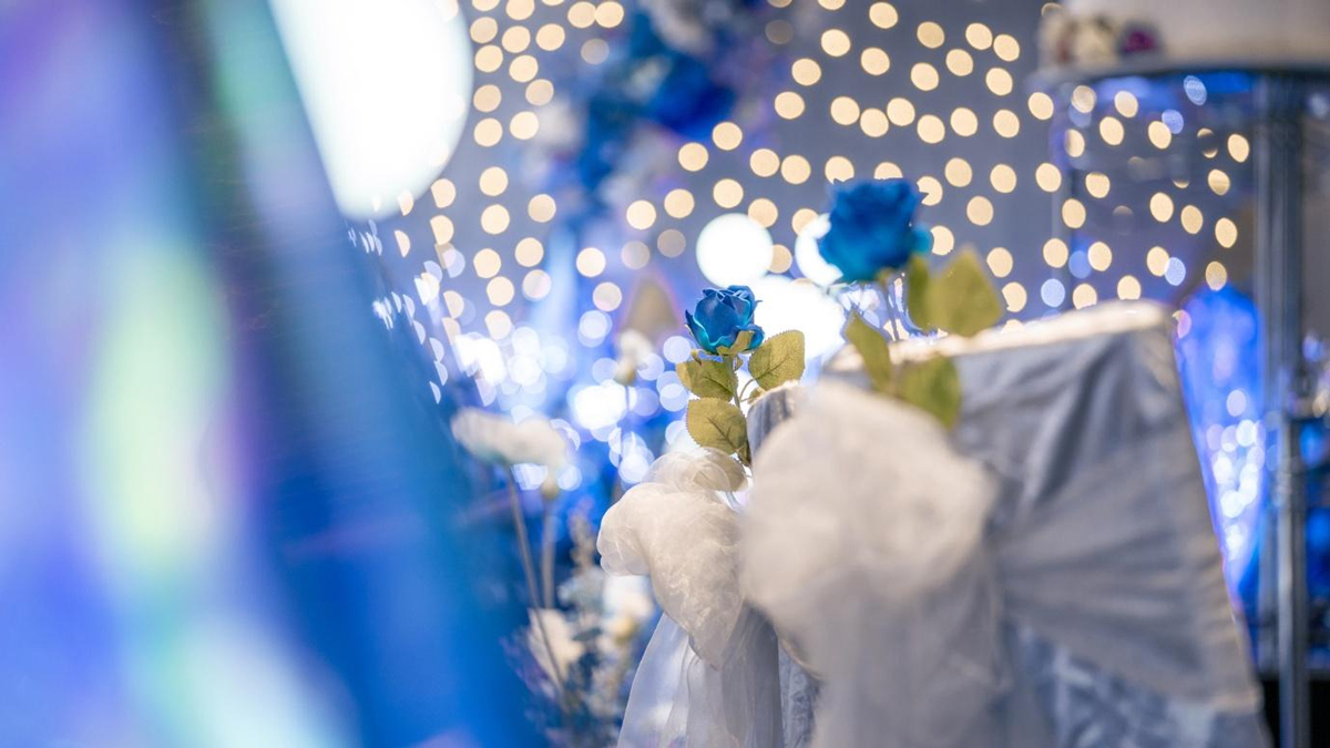 Novotel Singapore on Stevens: Editor's Choice for Banquet Venue 2026