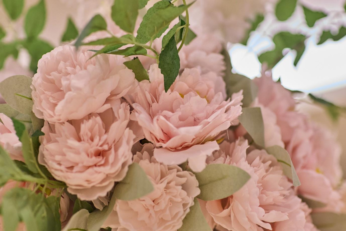 Copthorne King's Hotel Singapore: Editor's Choice Award for Banquet Venue 2026