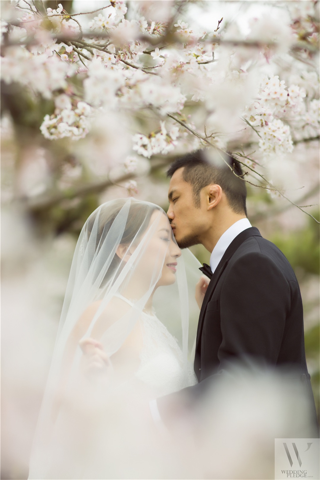Korea/Japan Pre-wedding package | Blissful Brides: Wedding Banquet, Bands, Venues, Dresses ...