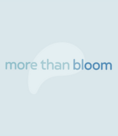 More than Bloom