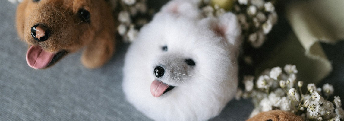 Woolly Pet