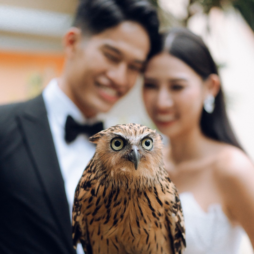 Mandai Wildlife Group